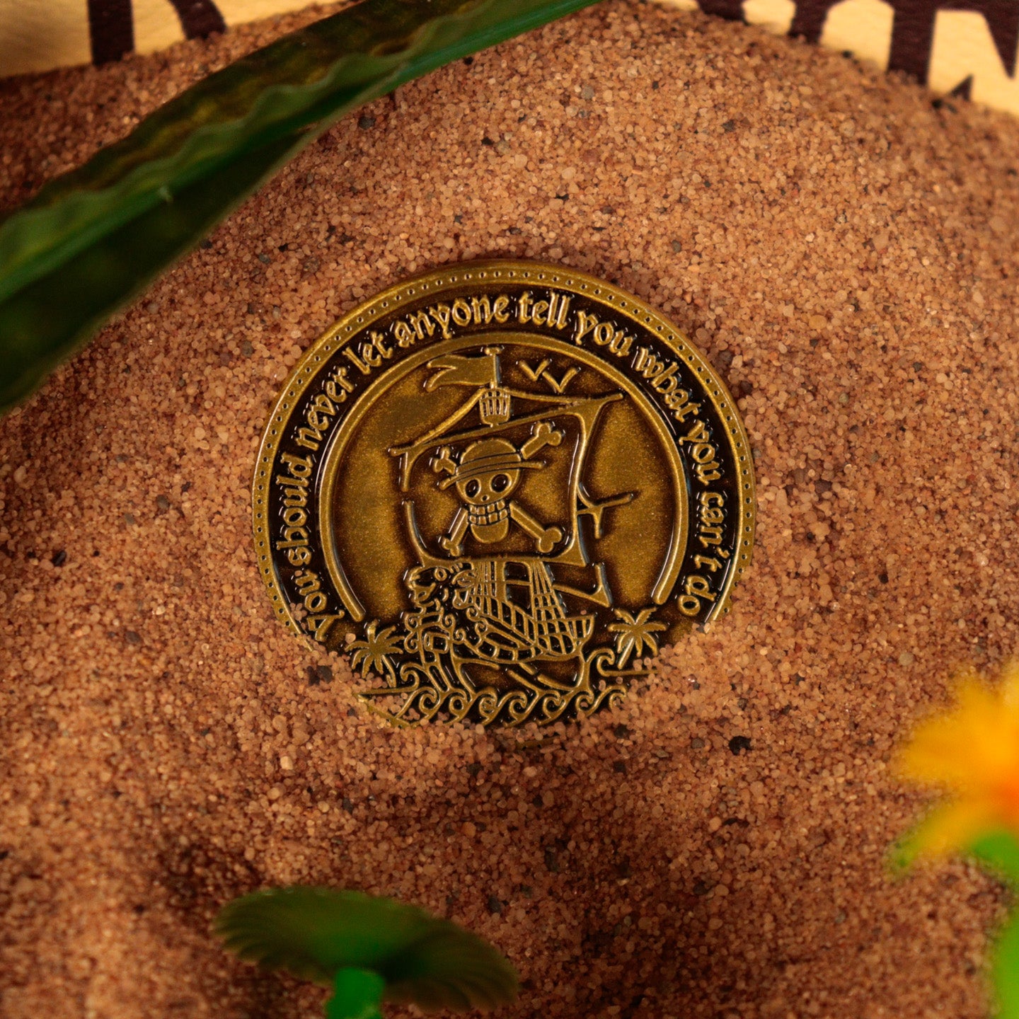 One Piece Limited Edition Collectible Coin Lifestyle Shot