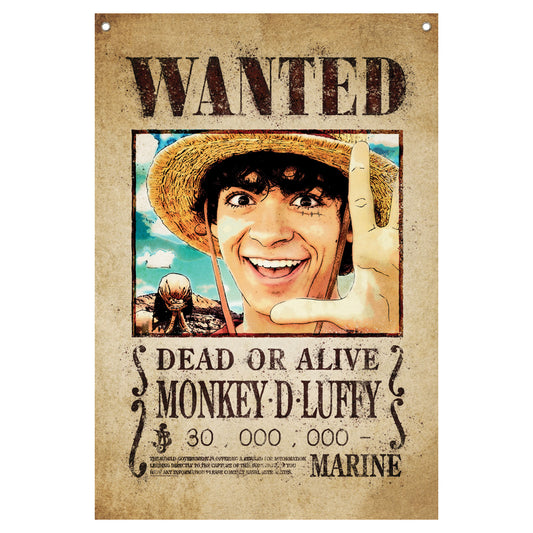 One Piece Wanted Poster Wall Banner