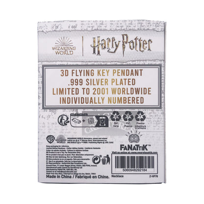 Harry Potter Flying Key Necklace Packaging reverse