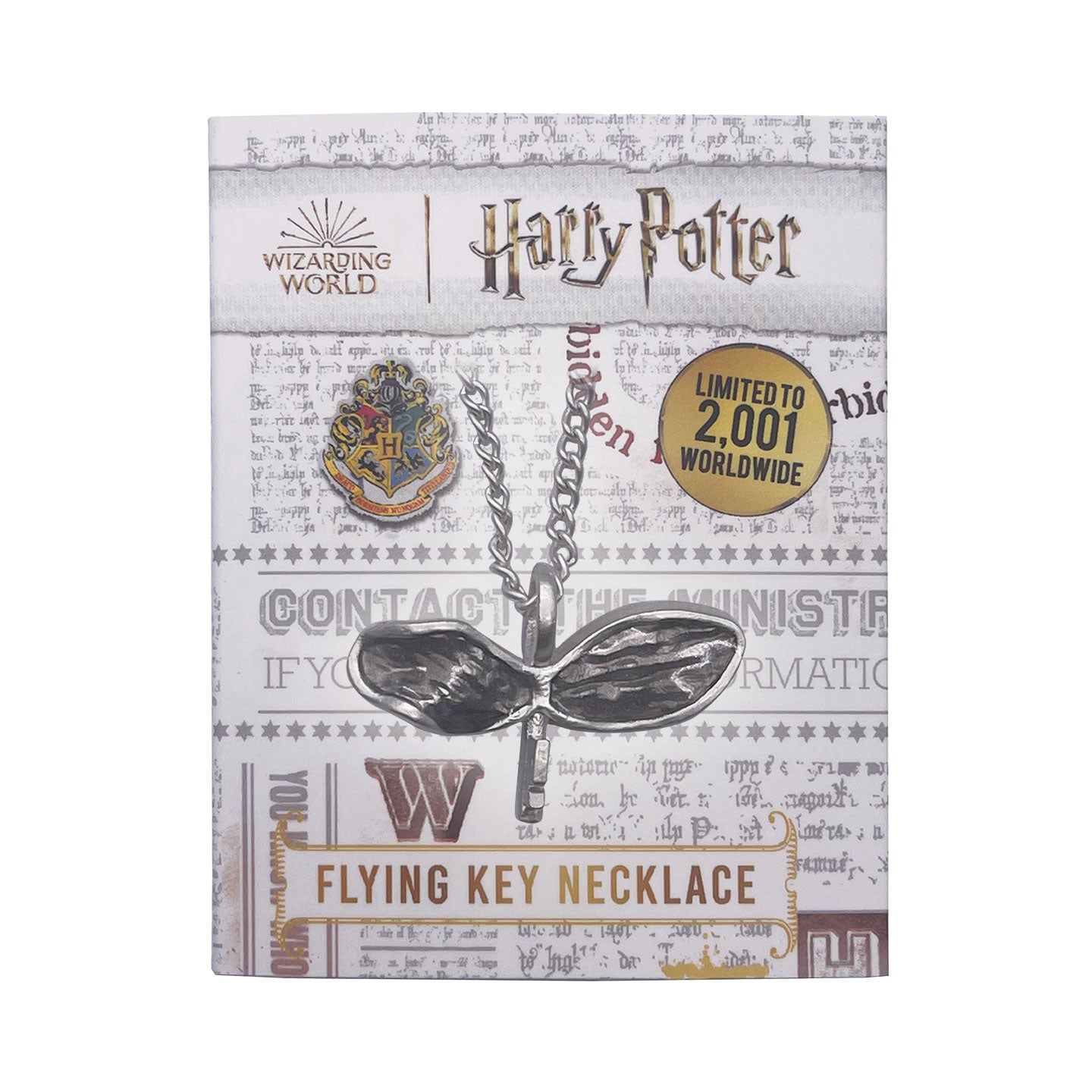 Harry Potter Flying Key Necklace Packaging