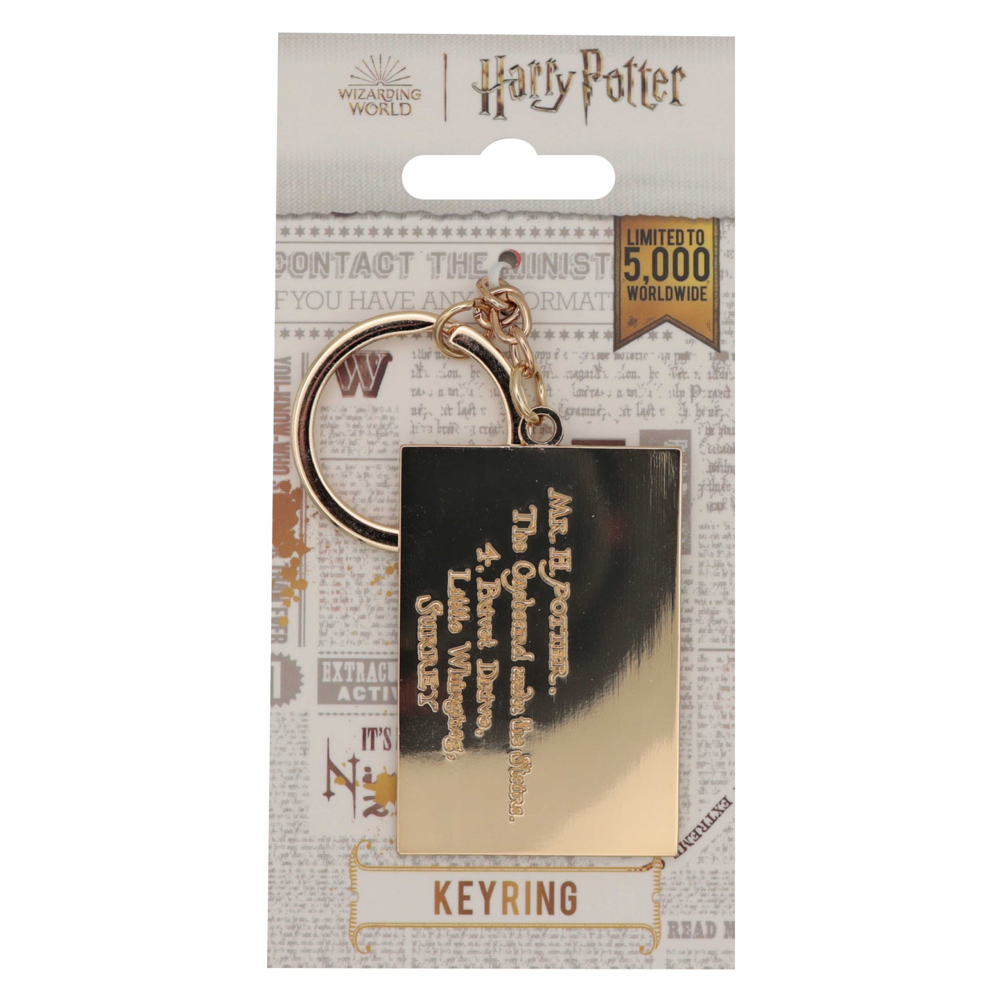 Harry Potter Hogwarts Letter Keyring